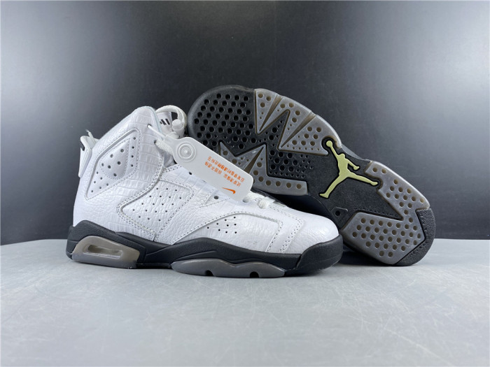 AIR JORDAN 6 GS ALLIGATOR 384665-110