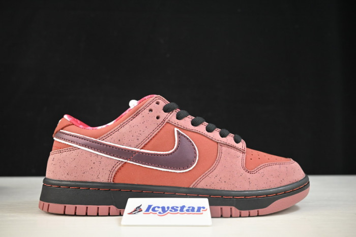 Nike SB Dunk Low Concepts Red Lobster 313170-661