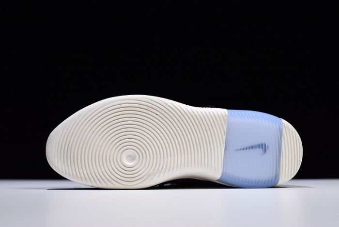 Nike Air Fear of God 1 Black AR4237-001