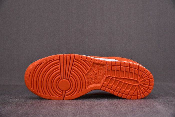 Nike dunk low sb syracuse CU1726-101