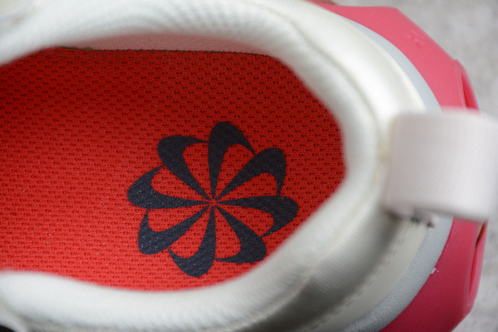 Nike Air Max 2021 DC9478-001