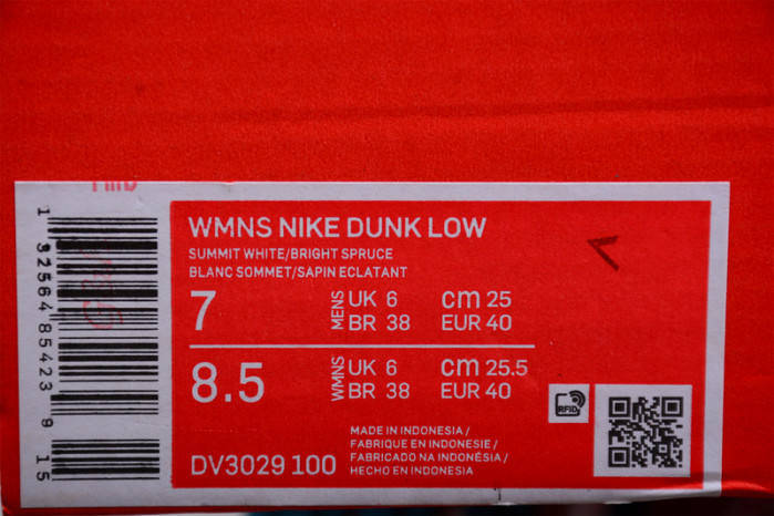 Nike Dunk Low Pro DV3029-100