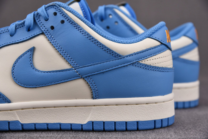 Nike Dunk Low Coast (W) DD1503-100