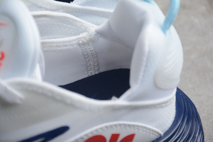 Nike Air Max 2090 DM2823-100