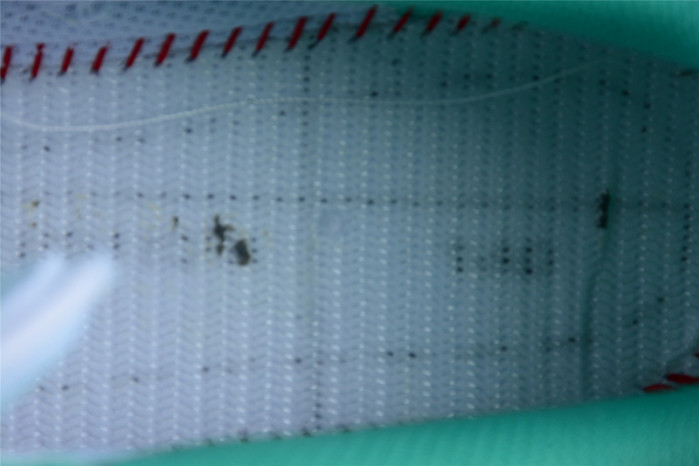 Nike Air Force 1 07 Low Mint Green White Running Shoes BS8871-104