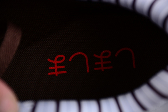 NIKE AIR MAX 1 "SHIMA SHIMA" PLUM ECLIPSE FB8916-100