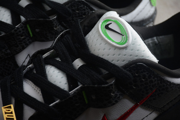 Dunk Low Disrupt 2 "Panda" DV1490-161