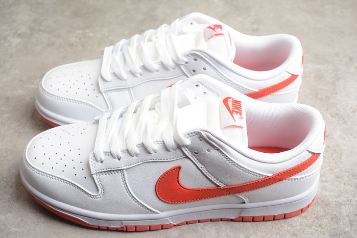 Nike Dunk Low DV0831-103
