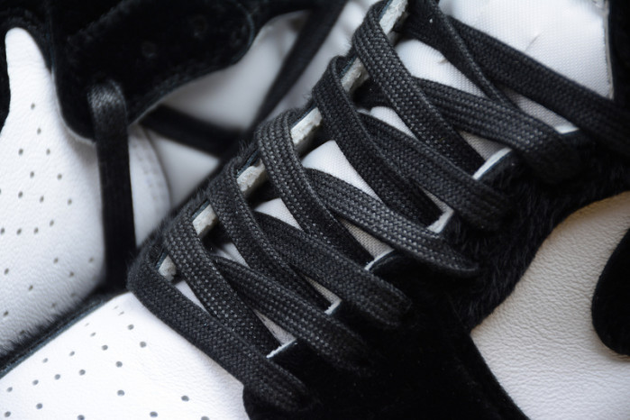 Air Jordan 1 Panda Black White CD0461-007