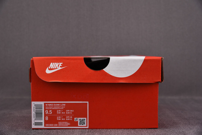 Nike Dunk Low Coast (W) DD1503-100