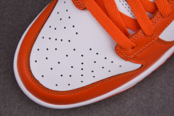 Nike dunk low sb syracuse CU1726-101