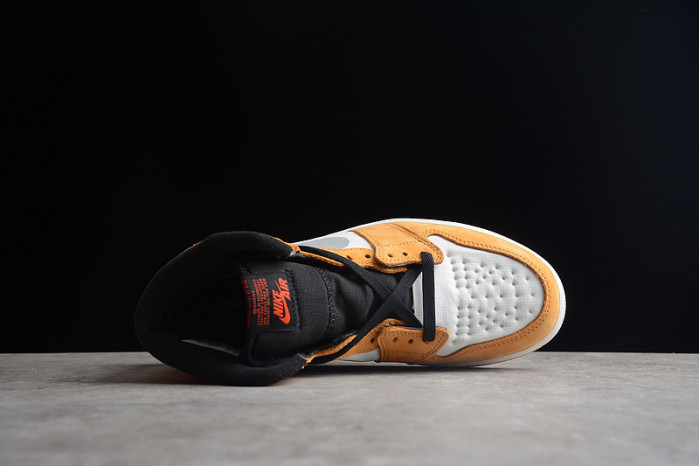 Jordan 1 High Element Gore-Tex Light Curry DB2889-700