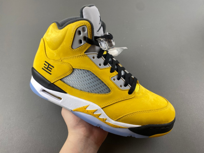 Air Jordan 5 Retro T23 